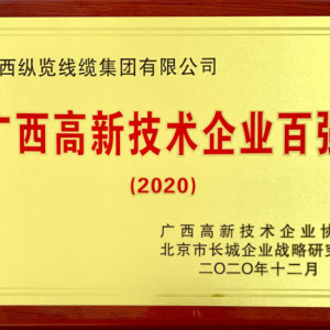 縱覽線纜集團入選“2020年廣西高新技術(shù)企業(yè)百強”榜單