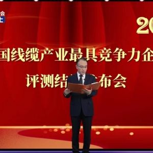 賡續(xù)卓越  勇毅前行——縱覽線纜集團再次榮獲2022中國線纜行業(yè)最具競爭力100強 ...