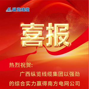 縱覽線纜集團斬獲南方電網“億元標”——以優(yōu)異成績慶賀2023全國兩會勝利召開！ ...